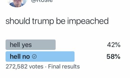 Rosie O’Donnell Deletes Her Twitter Poll Showing 58 Percent Say ‘Hell No’ to Impeachment