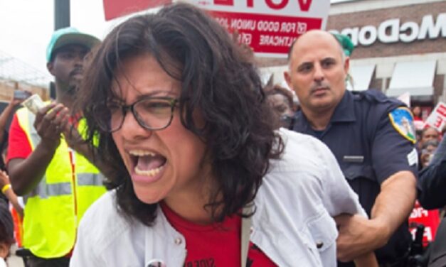 Tlaib frantically asked campaign for personal money, messages show, as ethics probes announced