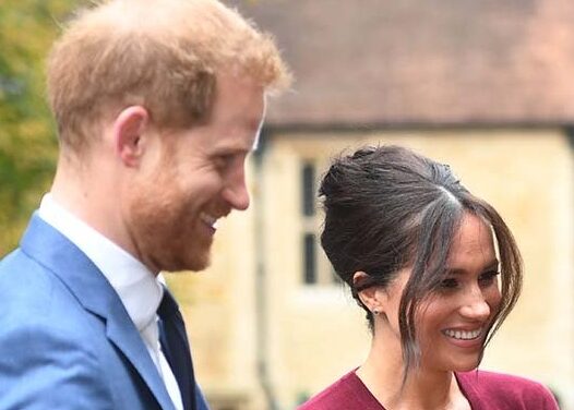 Prince Harry caught touting Meghan Markle to Disney CEO amid news of voiceover deal: WATCH