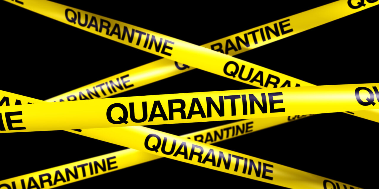 LAX passenger quarantined after showing potential coronavirus symptoms