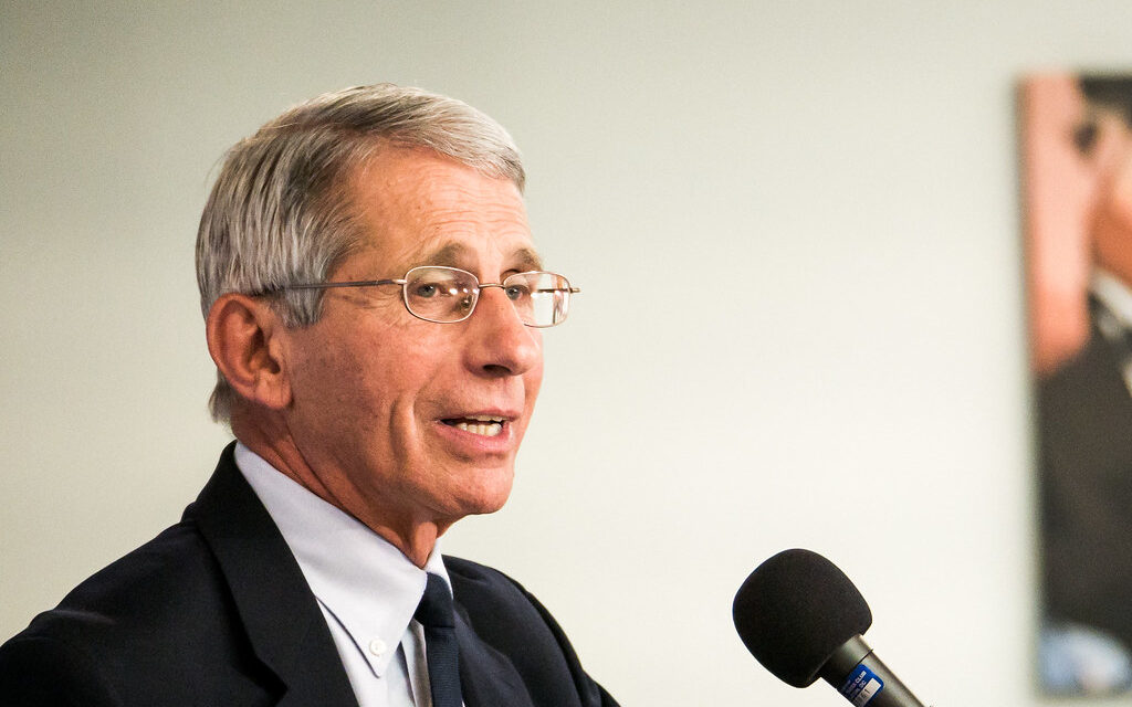 Dr. Anthony Fauci: Americans could eventually carry certificates of immunity to coronavirus