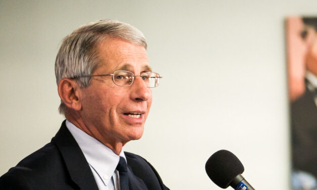 Dr. Anthony Fauci: Americans could eventually carry certificates of immunity to coronavirus