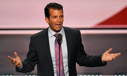 Twitter partially suspends Donald Trump Jr. for sharing hydroxychloroquine video