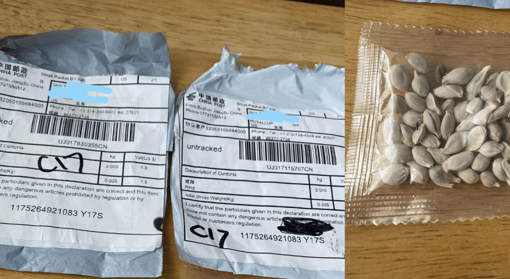 Mystery seeds from China are landing in Americans’ mail boxes