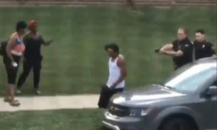 New footage shows Jacob Blake brawling with cops, resisting arrest, before being shot in Kenosha Wisconsin