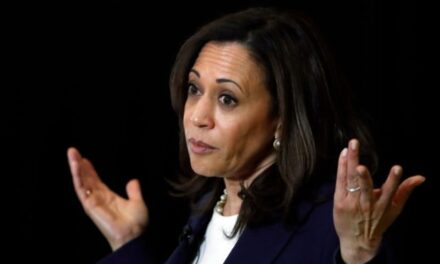 ‘It’s the middle finger to BLM and progressives’: Outraged left turns on the Biden-Harris ticket and slams Joe’s choice of self-styled ‘top cop’