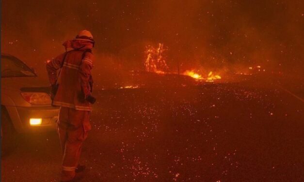 Oregon wildfire investigated as arson after human remains found