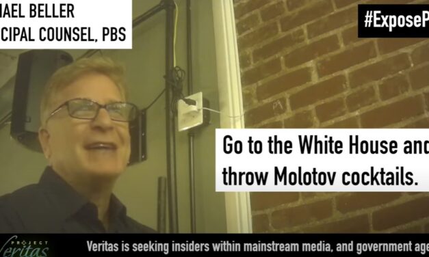 PBS lawyer suggested sending children of Trump voters to ‘reeducation camps’ where ‘they watch PBS all day’