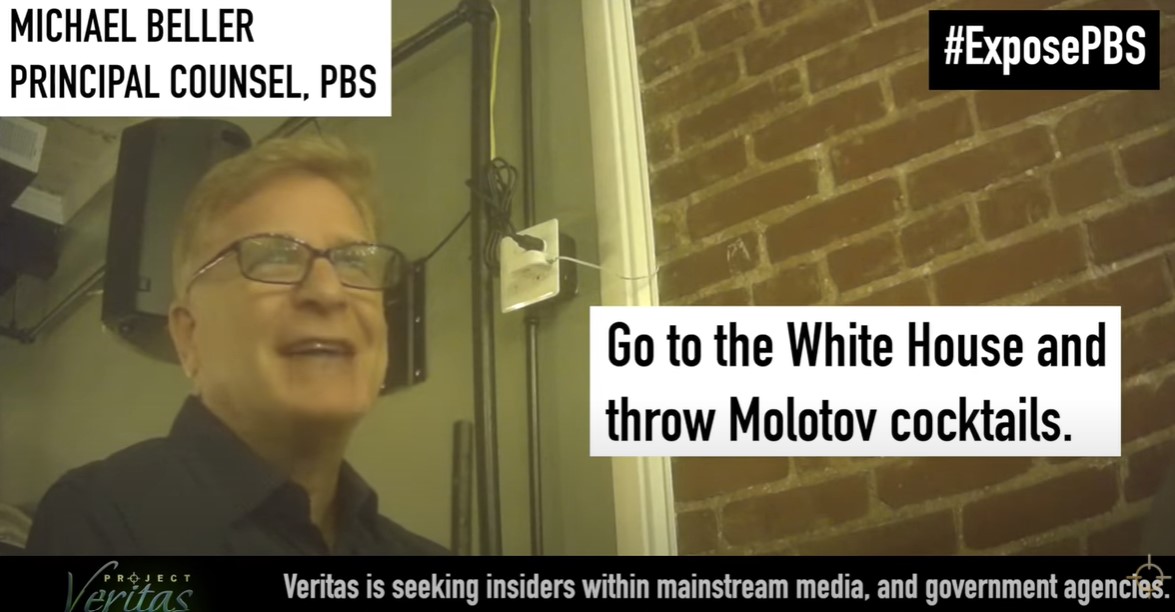PBS lawyer suggested sending children of Trump voters to ‘reeducation camps’ where ‘they watch PBS all day’